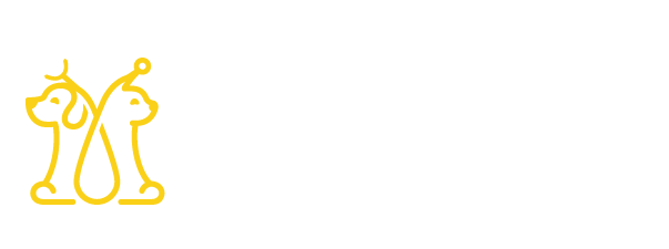 My City Veteriner